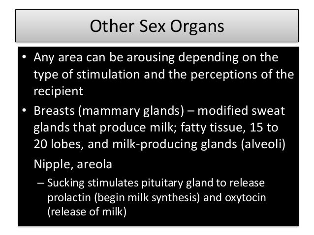 are breasts a sexual organ Seka blowjob cumshot slutload